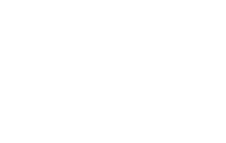 The Chesapeake Queen Logo of a steam boat in white